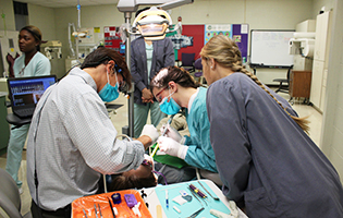 Dental students practicing in class