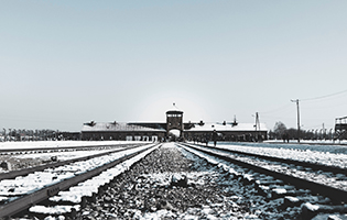 Holocaust Concentration Camp