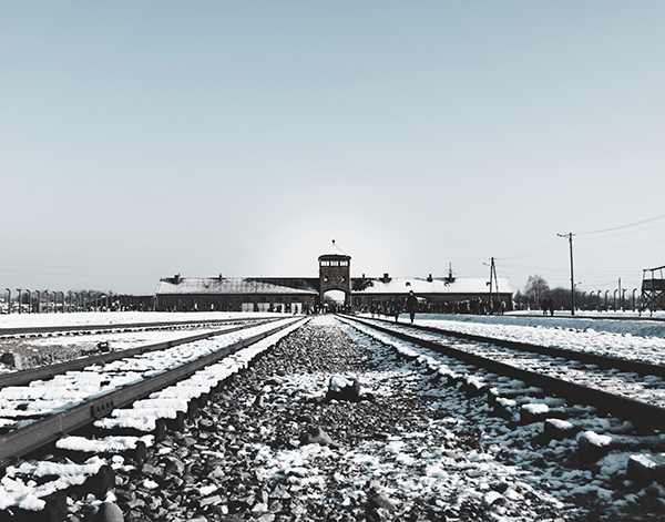 /_resources/images/divisionsocibehavsci/holocaust-project/holocaustproject-mobilehero.jpg