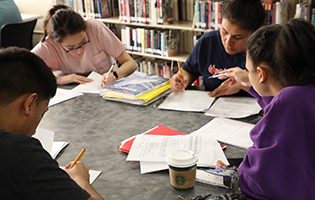 Group of students studying